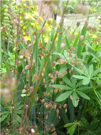 d9da07b9-Majčine suze.jpg